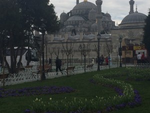 IMG_1146