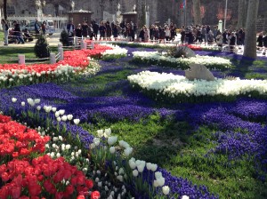 Flower Display 